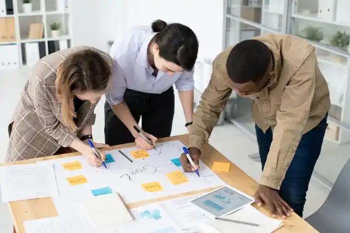 Project Development Image