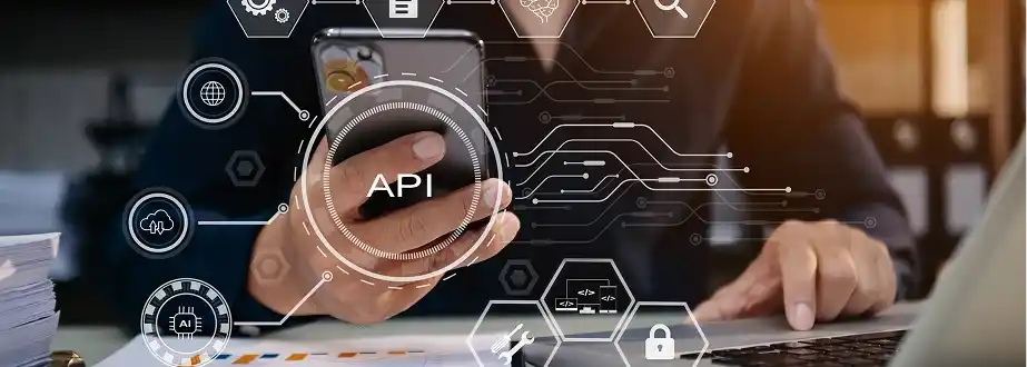 Shopify API & Third-Party Integrations